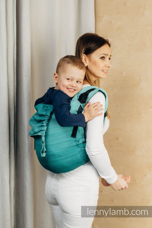 Lenny Lamb - Lenny Buckle Onbuhimo baby carrier LITTLE HERRINGBONE OMBRE GREEN